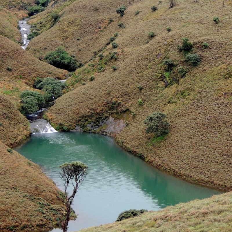 A perennial stream feeding into the Upper Bhavani reservoir.