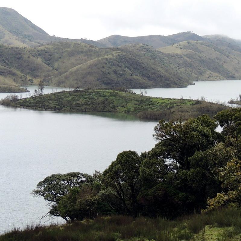 Land cover and changes to land cover probably influence the amount of water reaching important reservoirs such as the Upper Bhavani in the Nilgiris.