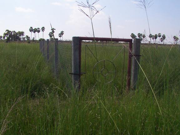 Exclusion fence to estimate biomass extraction by grazing.