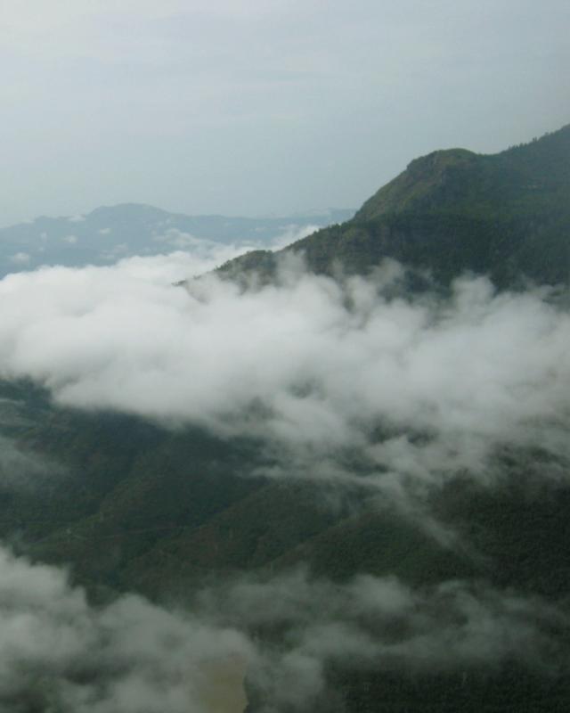 Many montane forests such as the Shola forests in the Nilgiris, intercept clouds directly. This can form a significant proportion of the total miosture they receive.