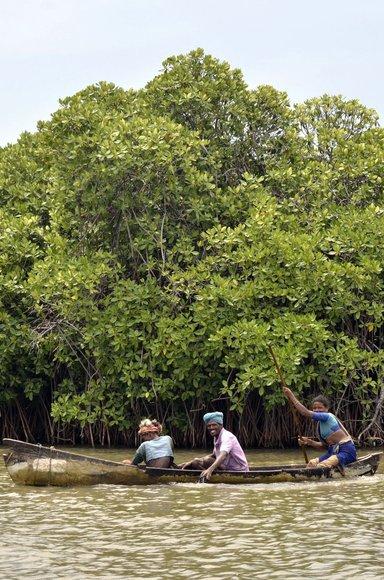 Fisherfolk in the Pechavaram mangroves.
