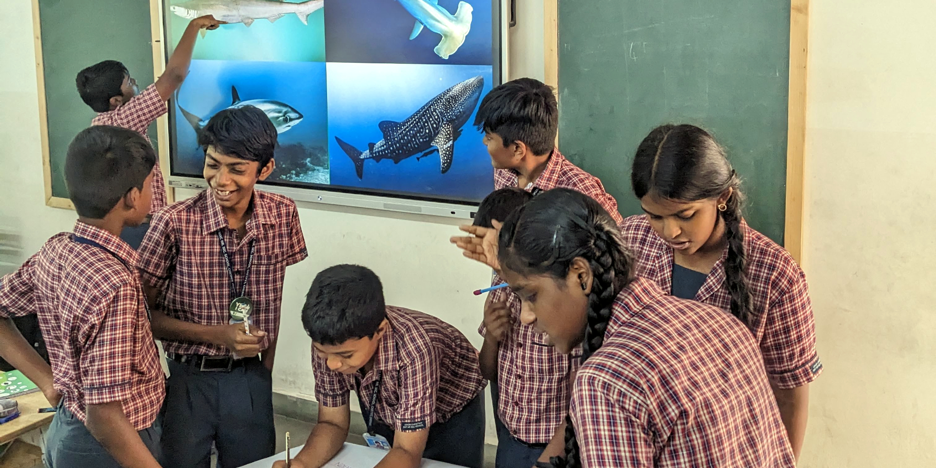 Saving Sharks through Transparent Seafood Supply Chains