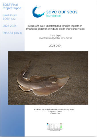 Strum with care: understanding fisheries impacts on threatened guitarfish in India to inform their conservation