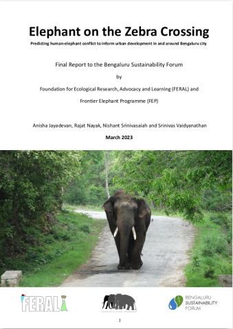 Final technical report