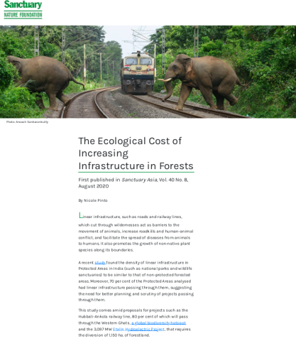 The Ecological Cost of Increasing Infrastructure in Forests