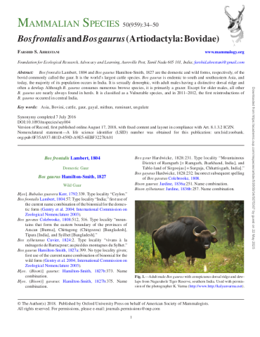 Bos frontalis and Bos gaurus (Artiodactyla: Bovidae)
