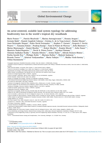 An actor-centered, scalable land system typology for addressing biodiversity loss in the world’s tropical dry woodlands