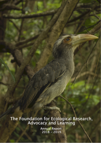 Annual Report 2018 - 2019