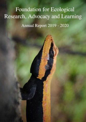 Annual Report 2019 - 2020