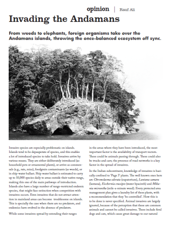 InvadingAndamans_Rauf2010