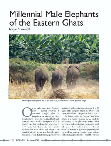 Srinivassiah_2019_MillennialElephants