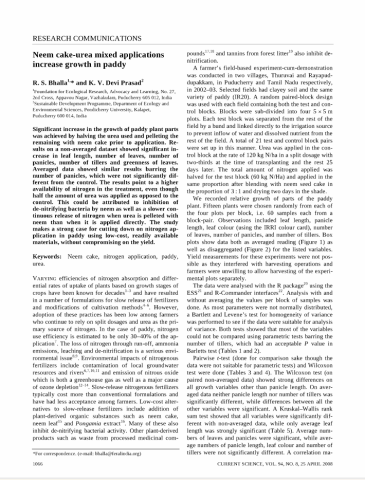 neemCake_paddy_BhallaDevi_2008