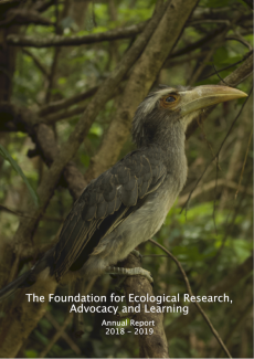 Annual Report 2018 - 2019