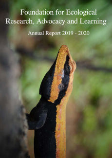 Annual Report 2019 - 2020