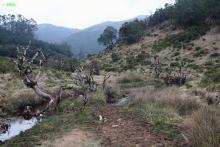 Dry season flows at Bhavani temple.